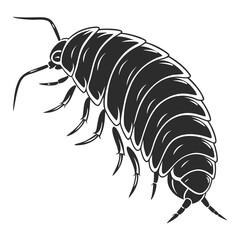 vector illustration of a black ant