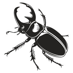 black beetle vector illustration