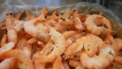 Close-up of many frozen shrimp