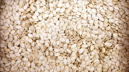 A pile of pumpkin seeds background