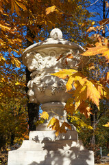 autumn tree in the park