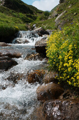 Alpine mountain small beautiful stream