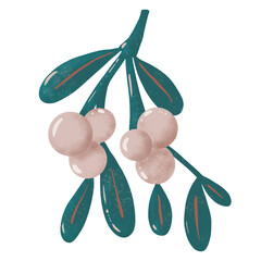 Decorative Christmas mistletoe branch, winter design element. Hand-drawn illustration, isolated, suitable for templates, paper, and print.