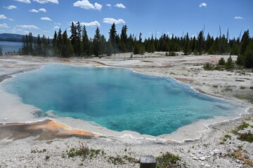Geysers