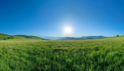 Fototapeta premium The image shows a wide, expansive field of vibrant green grass dotted with small white flowers, set against a backdrop of rolling hills and a clear blue sky with a bright sun