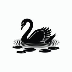 Single black swan swimming on water with lily pads on white background animal bird