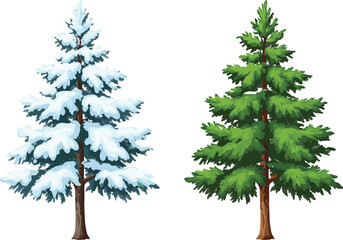 Snow-covered pine tree and green evergreen tree illustration, winter and summer seasons, nature design, cartoon style, isolated on white background