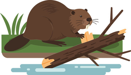 Beaver gnawing wood on riverbank with green grass and water nature wildlife scene vector illustration