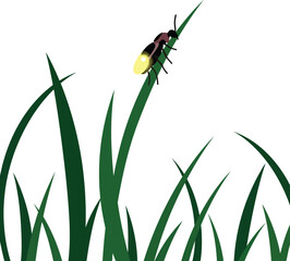Firefly resting on green grass blades vector silhouette illustration of glowing insect in natural environment