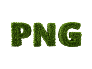 Png letters made of green grass isolated on transparent background