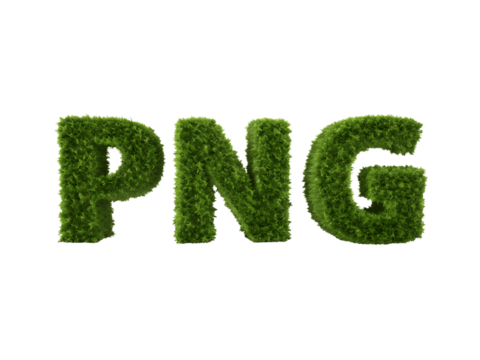 Png letters made of green grass isolated on transparent background