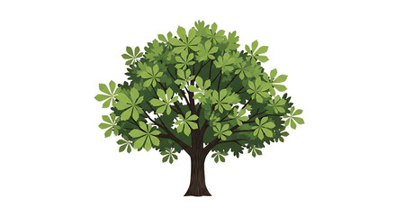Obraz premium Lush Green Deciduous Tree with Palmate Leaves.