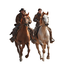 Obraz premium Horses with male and female riders isolated on White or transparent background Cutout PNG