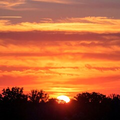 Fototapeta premium Vibrant sunset sky with silhouetted trees