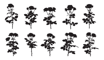 Collection of silhouetted rose bushes and flowers for decorative and design projects
