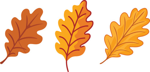 Autumnal Trio A Collection of Colorful Cartoon Oak Leaves