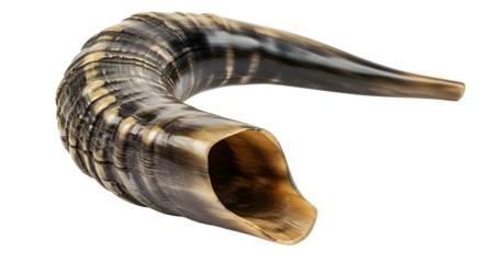High-resolution image of a polished shofar, a ram's horn, isolated on a blurred background, showcasing intricate details and warm tones, perfect for religious or cultural themes.