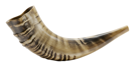 High-resolution image of a Shofar, a ram's horn, isolated on white background;  traditional Jewish ceremonial instrument;  detailed texture;  religious, spiritual, and cultural significance.