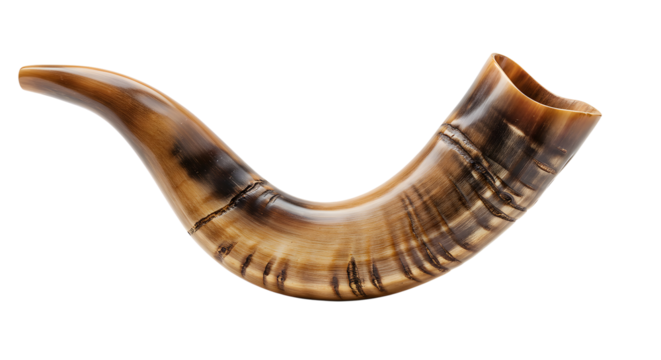 High-resolution image of a Shofar, a traditional ram's horn, showcasing intricate detail and warm, natural tones; isolated on white background, perfect for religious or cultural contexts.