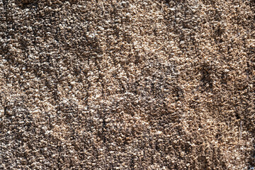 Fragment of a rocky surface. For use as an abstract background and textures.