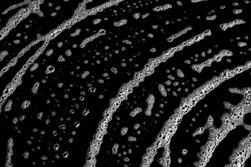 Organic natural line pattern in black and white, perfect for creative, modern, and decorative purposes. Distorted monochrome texture