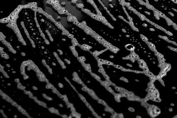 Abstract monochrome texture background.  Abstract black and white texture with organic curved lines, ideal for modern design and creative backgrounds.