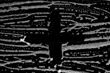 Abstract monochrome texture background.  Abstract black and white texture with organic curved lines, ideal for modern design and creative backgrounds.
