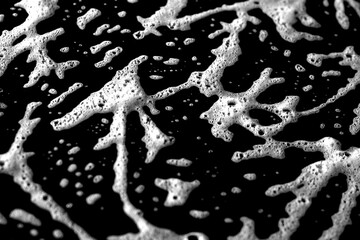 Distorted monochrome texture.  Organic natural line pattern in black and white, perfect for creative, modern, and decorative purposes.
