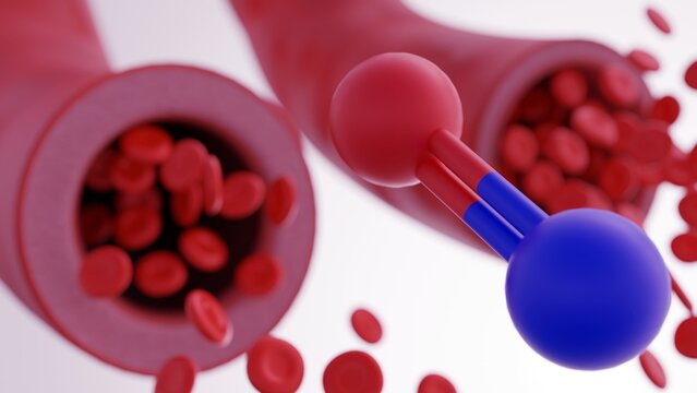 3D rendered visualization illustrates the molecular and cellular dynamics of vasodilation, focusing on the role of nitric oxide in modulating&nbsp;vascular&nbsp;tone.