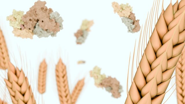 A 3d rendering of stalks of wheat and molecular structure of glutenins are recognized allergens can cause severe systemic anaphylaxis as&nbsp;wheat&nbsp;allergy