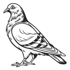 Obraz premium Detailed Black and White Illustration of a Standing Pigeon, Emphasizing Feathers and Form