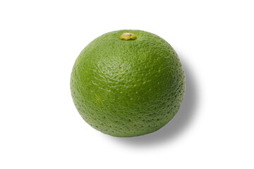 綺麗な緑色のカボス