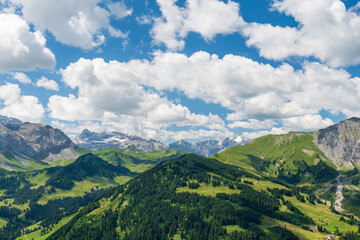 Scenic alpine landscape with green meadows, towering mountains, and clear blue summer skies in the heart of the Swiss Alps