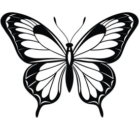 Black and white butterfly vector illustration on white background