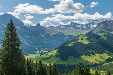 Scenic alpine landscape with green meadows, towering mountains, and clear blue summer skies in the heart of the Swiss Alps