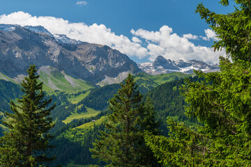 Fototapeta premium Scenic alpine landscape with green meadows, towering mountains, and clear blue summer skies in the heart of the Swiss Alps