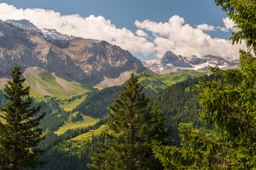 Fototapeta premium Scenic alpine landscape with green meadows, towering mountains, and clear blue summer skies in the heart of the Swiss Alps