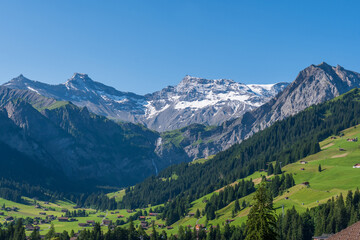 Scenic alpine landscape with green meadows, towering mountains, and clear blue summer skies in the heart of the Swiss Alps
