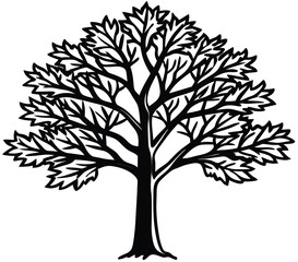 Fototapeta premium Vector tree silhouette with leaves and branches in nature design