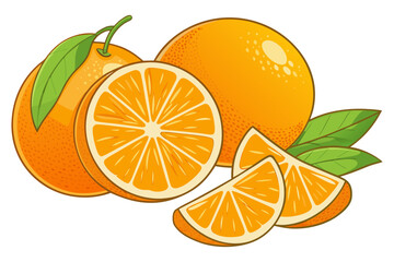 Whole and Sliced Oranges with Leaves - Vector Illustration
