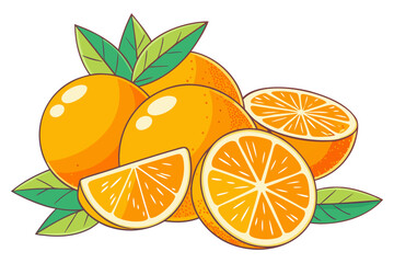 Whole and Sliced Oranges with Leaves - Vector Illustration