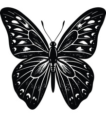 Beautiful vector illustration of a black and white swallowtail butterfly with open wings, isolated on a white background
