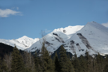 snow capped mountain above trees