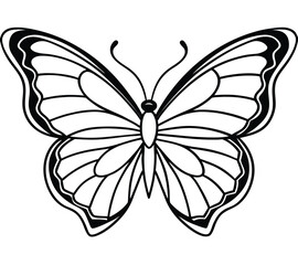 Black and white butterfly vector illustration on white background with wings and flowers