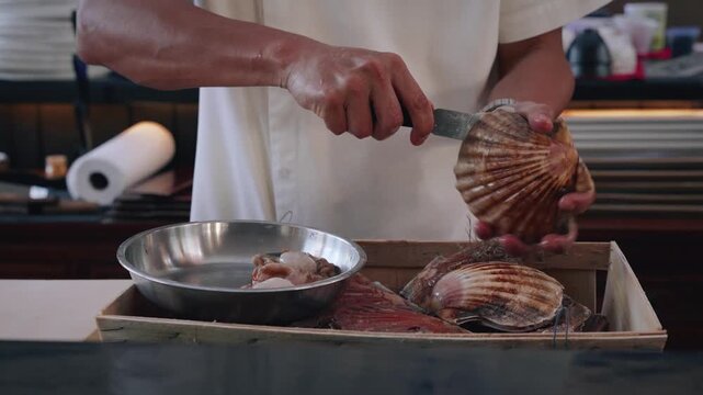 4K close up video chef opening fresh scallops shells