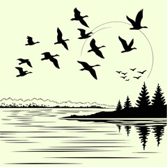 birds on the lake | Migrating Geese over a Lake at Sunset