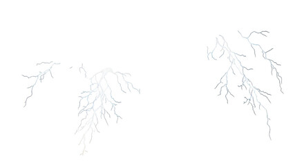 Detailed microscopic view of intricate plant root systems branching out against a dark background