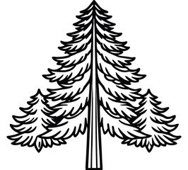 Obraz premium Set of Christmas fir trees illustration in winter forest