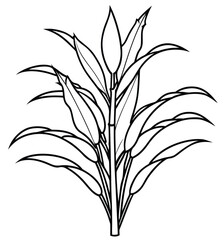 Ears of wheat isolated on white background with leaves and stems