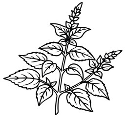 Branch with leaves plant and tree illustration vector design